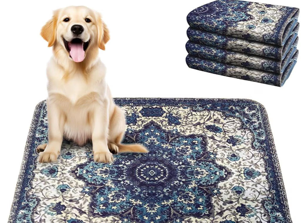 Dog pee pad