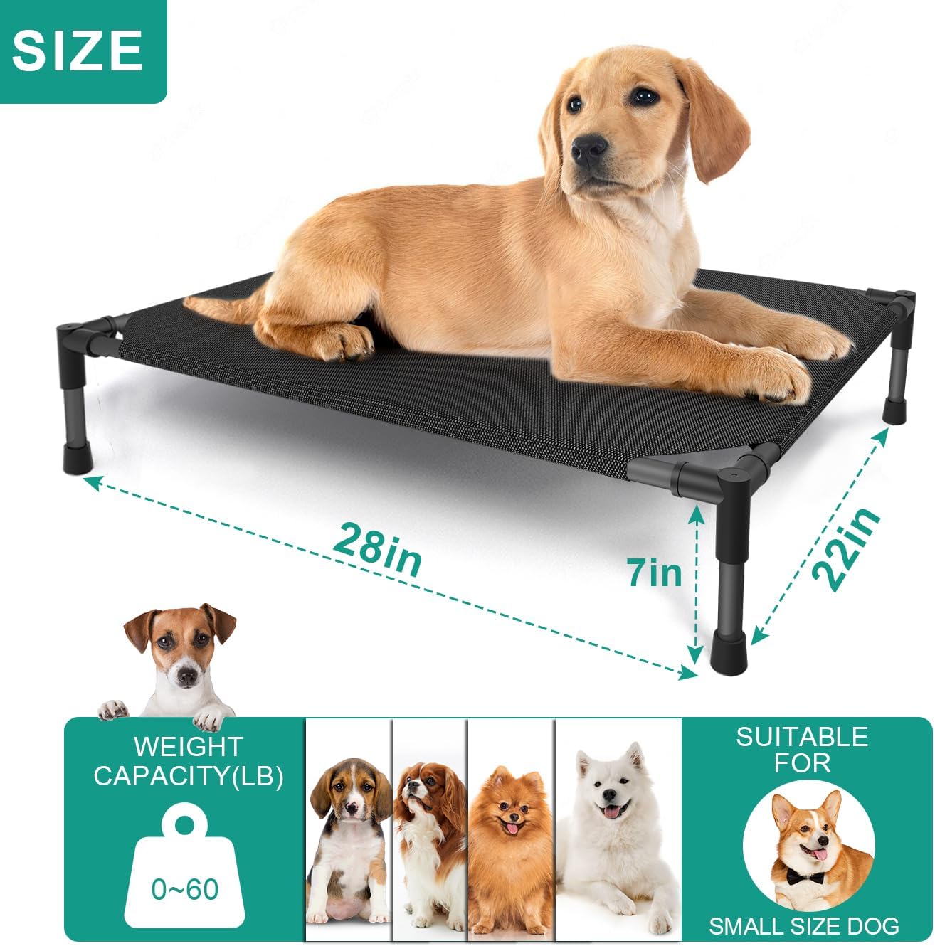 32×25×8 in Portable Raised Dog Cot – Black Waterproof Frame, Breathable Mesh & Anti-Slip Base, Supports Up to 80 lbs